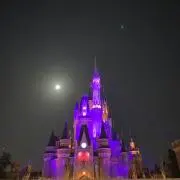 ナツレレ