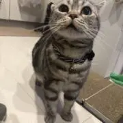 けろけろ