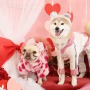 ♡