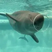 ちぱちゃん☆