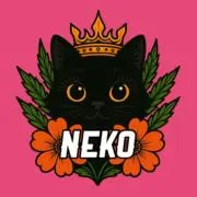NEKO ❂ 高濃度 ❦ 高体感の画像