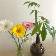 ☆ちょこ☆の画像