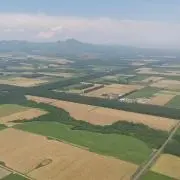 ゆっちゃんの画像