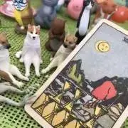 み