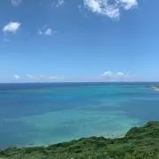 ▼・ᴥ・▼の画像