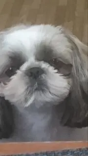 ルパン