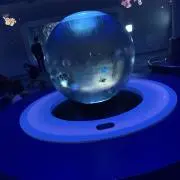 瑠衣の画像