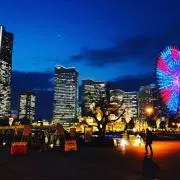 Apa  購入する方は必ずプロフ確認必読の画像