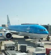 リモアの画像