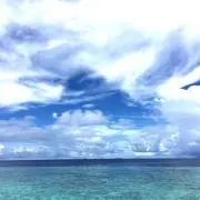 UP☆の画像