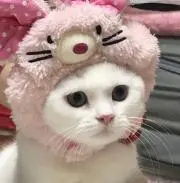 ☺︎の画像