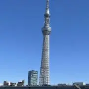 タロウ　希望価格どうぞの画像