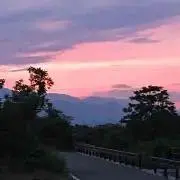 ぴよ