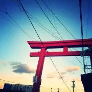 みむ