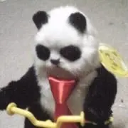 ユパの画像