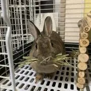 MaMaの画像