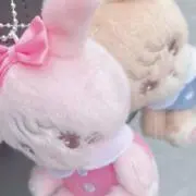 ぷぅの画像