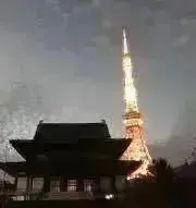 Kanariyaの画像