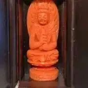 トメの画像