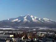 369光日子の画像