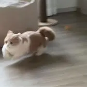 ねこて