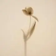 mの画像