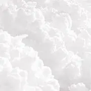 Rの画像