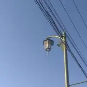 こいし