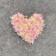 のりりの画像