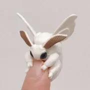 外山の画像