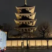 ミッキーの木の画像