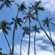 hazzyの画像