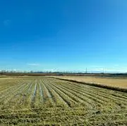 ろっくふぁーむ