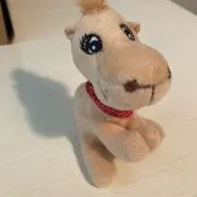 さぶろうの画像