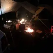 Tの画像