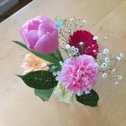 ニコニコ堂の画像
