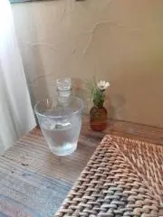 ヨーギーの画像