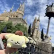 みやきの画像