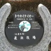 shoooootの画像