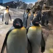 値下げ大歓迎　早く売りたいの画像