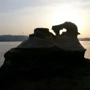 翔