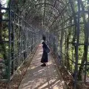 yuの画像