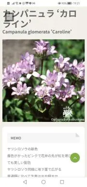 もふこの画像