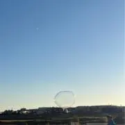 月波の画像