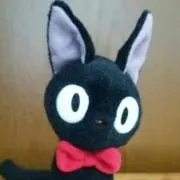 NIRAの画像