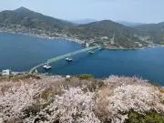 kurokuroグッズ整理中の画像