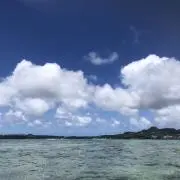 Faikoの画像