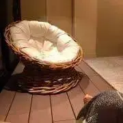 メチュ