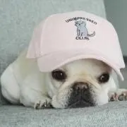 るる☆只今断捨離中の画像