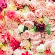 古着屋✾✿すみすみ✿✾フォロー割♬︎の画像